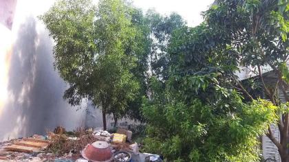 BÁN ĐẤT FULL THỔ CƯ – MẶT TIỀN ĐƯỜNG 8M – XUÂN THỚI SƠN, HÓC MÔN