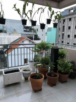 CHỐN AN CƯ CHUẨN SANG GIỮA LÒNG QUẬN 10 ????Tô Hiến Thành, Phường 15 – Quận 10 – Phường Hoà Hưng mới • Nhà 5 tầng đẹp