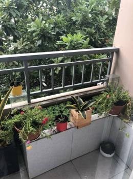 CHỐN AN CƯ CHUẨN SANG GIỮA LÒNG QUẬN 10 ????Tô Hiến Thành, Phường 15 – Quận 10 – Phường Hoà Hưng mới • Nhà 5 tầng đẹp