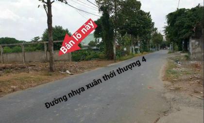 ĐẤT KHỦNG 20x50M FULL THỔ CƯ – MẶT TIỀN XUÂN THỚI THƯỢNG 4, HÓC MÔN