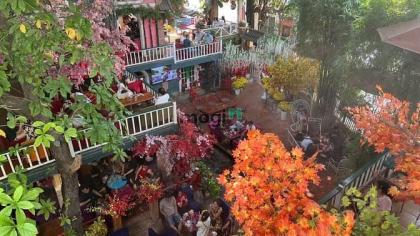 Bán quán CAFE “Phố Xưa” ngang 24m 3 lầu sân vườn 624m2 MTKD Nguyễn Ảnh Thủ chỉ 49 tỷ