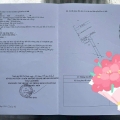 BÁN NHÀ MẶT TIỀN ĐẶNG PHÚC VỊNH – TUYẾN ĐƯỜNG ĐẸP NHẤT HÓC MÔN