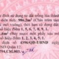 BÁN ĐẤT THỔ CƯ MẶT TIỀN ĐÔNG HƯNG THUẬN 10 – P. ĐÔNG HƯNG THUẬN, Q.12