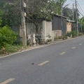 SIÊU PHẨM ĐẤT NHÀ VƯỜN 1 XẸC BÙI CÔNG TRỪNG – ĐÔNG THẠNH, HÓC MÔN