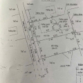 ĐẤT ĐẸP 600M² (300M² THỔ CƯ) ĐƯỜNG BÊ TÔNG 5M ĐÔNG THẠNH, HÓC MÔN CHỈ 9,5 TỶ