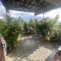 Bán nhà Mặt tiền Phú Thọ Hòa -  gần Văn Côi, DT: 3,9x21m, 5 Tầng -  4PN, 15,5 tỷ