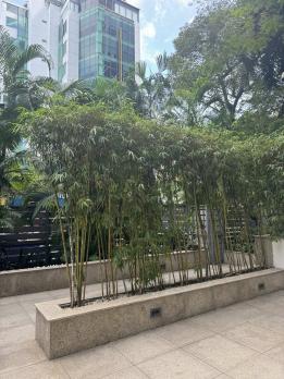 ????️ SỐNG CHUẨN QUỐC TẾ – TRÁI TIM SÀI GÒN ???? 05 Căn hộ Avalon Saigon – Nguyễn Thị Minh Khai, P. Bến Nghé, Quận 1