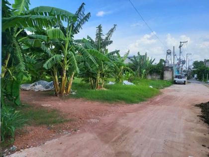 SIÊU PHẨM ĐẤT 1.558M2 – NGAY CHỢ ĐẦU MỐI XUÂN THỚI THƯỢNG – 2 SỔ RIÊNG – CHỈ 19,5 TỶ