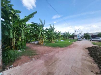 SIÊU PHẨM ĐẤT 1.558M2 – NGAY CHỢ ĐẦU MỐI XUÂN THỚI THƯỢNG – 2 SỔ RIÊNG – CHỈ 19,5 TỶ