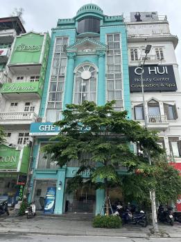 Bán Nhà Mặt Phố Đống Đa 432m2-5T MT15m LÔ GÓC 3 THOÁNG 244 Tỷ Nguyễn Chí Thanh.