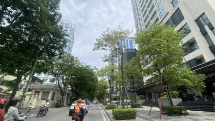 Bán 1200m2 đất tặng biệt thự mặt phố Đội Cấn phường Ngọc Hà