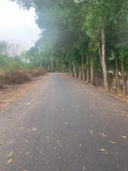 Bán Đất Phân lô đường 8m Phạm Văn Cội, giao Bà Thiên, 5x25m, full thổ cư, tiện xây, 1,6 tỷ