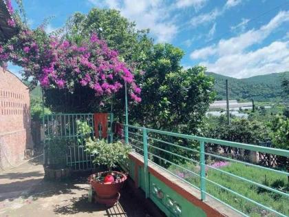 BÁN ĐẤT CAM LY ĐÀ LẠT - 8010M2, 338M2 THỔ CƯ, QUY HOẠCH FULL THỔ, GẦN CÁC ĐIỂM DU LỊCH