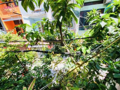 ???? HẺM THÔNG – Ô TÔ NGỦ TRONG NHÀ – GẦN ĐẦM SEN – GIÁ CHỈ 5.X TỶ ????
