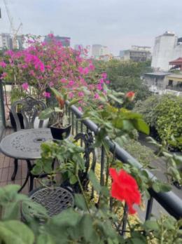 Bán 300m2 DTSD Mặt Phố Quận Hoàn Kiếm MT12m-3T VỪA Ở VỪA KD 33 Tỷ Hàng Bài.