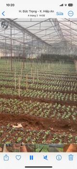 HẠ GIÁ KỊCH SÀN - BÁN GẦN 5000M2 HIỆP AN - GIẢM 5 TỶ