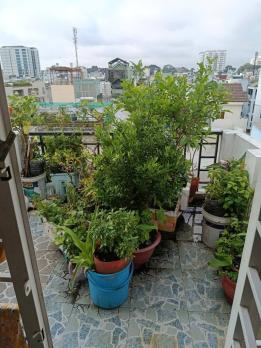 Nhà  HXH Đường Nguyễn Tiểu La Quận 10 Phường 8.