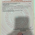SIÊU PHẨM CẶP ĐẤT ĐẸP (4X15.5) MẶT TIỀN THẠNH XUÂN 38, Q12
