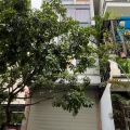 Cho thuê nhà KĐT Văn Phú 68m x 6 tầng 8 phòng chỉ 20 triệu 0903409888