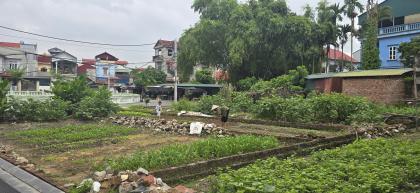 Bán đất mặt Hồ Gia Lộc - Gia Lương, xã Việt Hùng, Đông Anh - Nay là xã Thư Lâm, Thành phố Hà Nội,