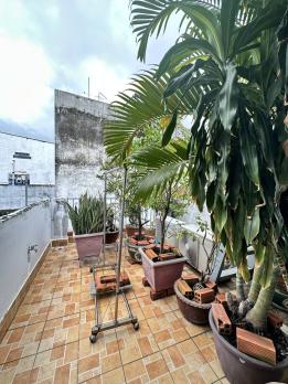 Nhà Đường Lý Thái Tổ Quận 10 Phường 10 Cũ.