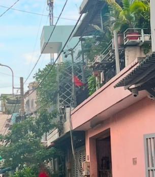 ????️ Khu vip ! Bình Tân - Lê văn Quới - giáp Tân Phú - 40m² (4x10) 2 tầng đúc btct - 2pn, 2wc - chỉ 4.3 tỷ