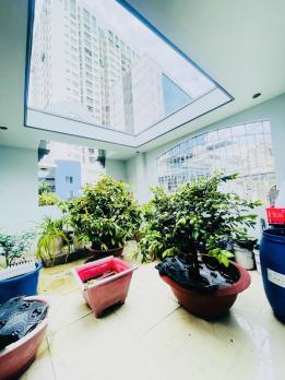 Nhà 4 Tầng Trần Hưng Đạo Q5 – Hẻm Ô Tô Thông, Giá 10.8 Tỷ