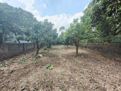 Đất Bình Minh, Khoái Châu, DT281m2, MT8.8m ôtô tải KD, 13.5 tỷ Hưng Yên
