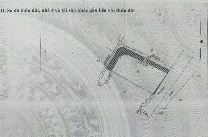 ĐẤT (20x50) 2MT GẦN SÔNG SÀI GÒN NHỊ BÌNH (ĐÔNG THẠNH) GIÁ 14,5 TỶ