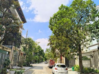 Nhà 4 tầng xây thô TT2 ĐTM Văn Phú, Hà Đông, DT90m2, 21.5 tỷ