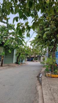 CẶP ĐẤT (6x23) MẶT TIỀN TAM ĐÔNG 2, THỚI TAM THÔN, HÓC MÔN