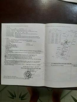 BÁN NHÀ + XƯỞNG MT TRẦN THỊ CÁT (BÀ ĐIỂM 11), HÓC MÔN GIÁ 14,5 TỶ