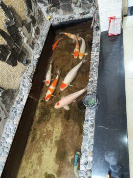 Bán nhà hẻm 766 Cách Mạng Tháng Tám Quận Tân Bình 68m2, 3PN chỉ 9 Tỷ 3