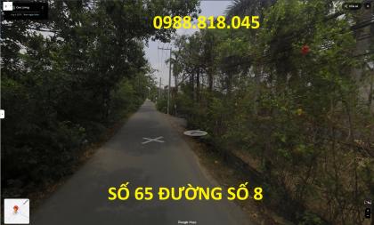 Bán đất đường số 8 phường Trường Thạnh , quận 9 (nay là quận Thủ Đức), TP. HCM, 2215m2, MT 38m, ô