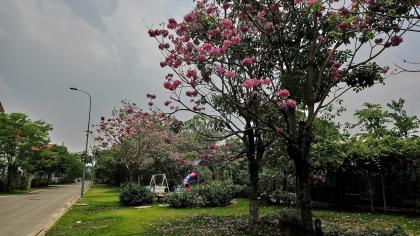 Căn hộ giá tốt dưới 2 tỷ tại Hồ Chí Minh – Setia Edenia bạn không nên bỏ lỡ