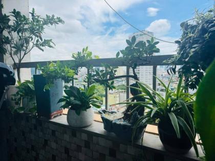 ????????Căn hộ CT2 VIMECO mặt phố Nguyễn Chánh 130m2, 3PN Căn góc Nội thất hiện đại, 15 tỷ