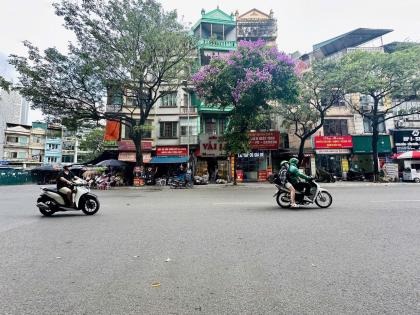 Bán nhà mặt phố Trần Đại Nghĩa đường oto qua kinh doanh DT 50m giá 16.5 tỷ