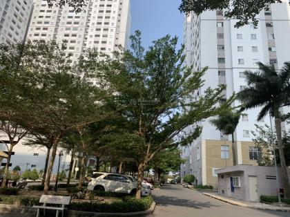 Còn vài suất chung cư xã hội Bình Chánh giá cực tốt, đang làm sổ đợt cuối. Lh )986647779
