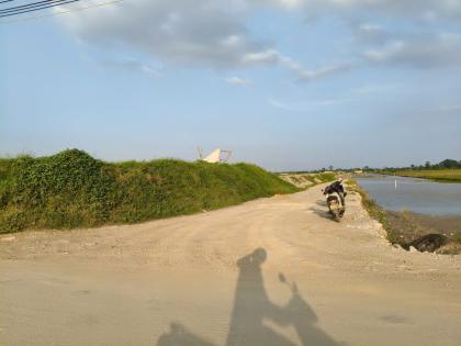 Đất thổ cư Tu Lễ, Kim Đường, 190m2, MT7.5m, nở hậu, 2 thoáng, 1.6 tỷ Ứng Hòa