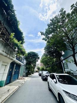 Bán nhanh Biệt thự phố nội thất cao cấp