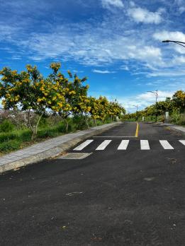 Đất biệt thự sinh thái Bảo Lộc – SHR, 100% thổ cư, giá chỉ 9,3 triệu/m² cho 162,2m²