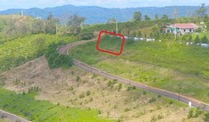 ⭐ Bán lô góc La Nature (Bảo Lộc) – 131 m² full thổ cư, mặt tiền, giá 11 tr/m²