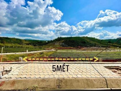 Cơ hội đầu tư đất khu vực Cạnh Làng Pháp Bảo Lộc – Sổ sẵn, sang tên ngay, lợi nhuận ổn định