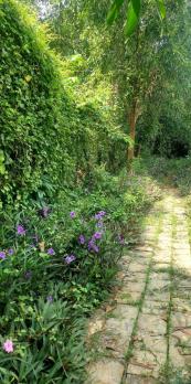 Gấp bán đất Bình Quới Thanh Đa quận Bình Thạnh TPHCM giá 7 tỷ 900