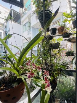 [BÁN NHÀ + QUẬN 10] NGÔI NHÀ NHỎ – GIỮ TIỀN LỚN – VỊ TRÍ CỰC PHẨM •  Đường Nguyễn Chí Thanh – diện tích 36m² – 3 tầng