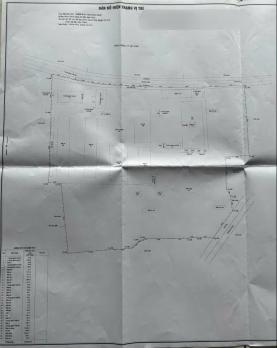 BÁN GẤP KHU DU LỊCH SINH THÁI VƯỜN ĐANG HOẠT ĐỘNG MT NHỰA CỦ CHI GIÁ TỐT