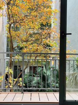 Bán CCMN - Chính Kinh – 50 Tr/Tháng, LÔ GÓC, 44m2, 7T TM, MT 4.1, 13.5 Tỷ.