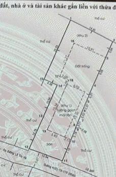 HÀNG NGỘP CỰC HIẾM NHÀ VƯỜN HƠN 500M² GIỮA LÒNG TÂN XUÂN – CHỈ 16 TỶ!