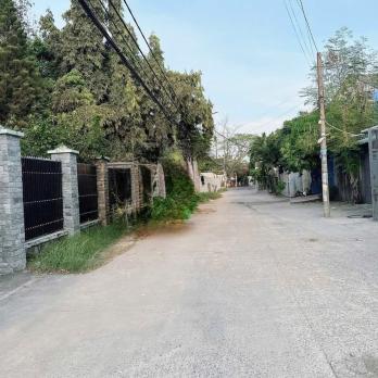 HÀNG NGỘP CỰC HIẾM NHÀ VƯỜN HƠN 500M² GIỮA LÒNG TÂN XUÂN – CHỈ 16 TỶ!