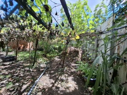 Bán nhà Cấp 4, Hẻm xe hơi Lê Trọng Tấn - gần Tây Thạnh, 16x21m, Cấp 4 - tiện xây, 15 tỷ